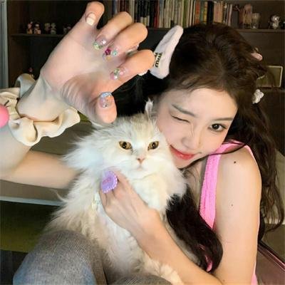 乘龙怪婿第四季